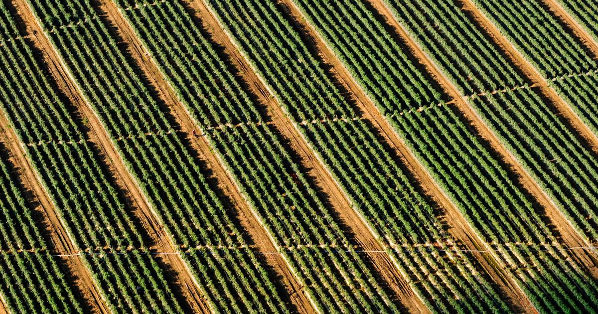 Lo que tienes que saber: domingo 1 de marzo